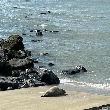 Luxueus & Nieuw 2-slaapkamerappartement Met Garage Apartamento *