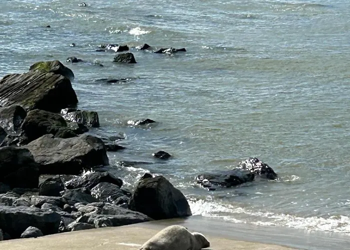 Luxueus & Nieuw 2-slaapkamerappartement Met Garage Apartamento *